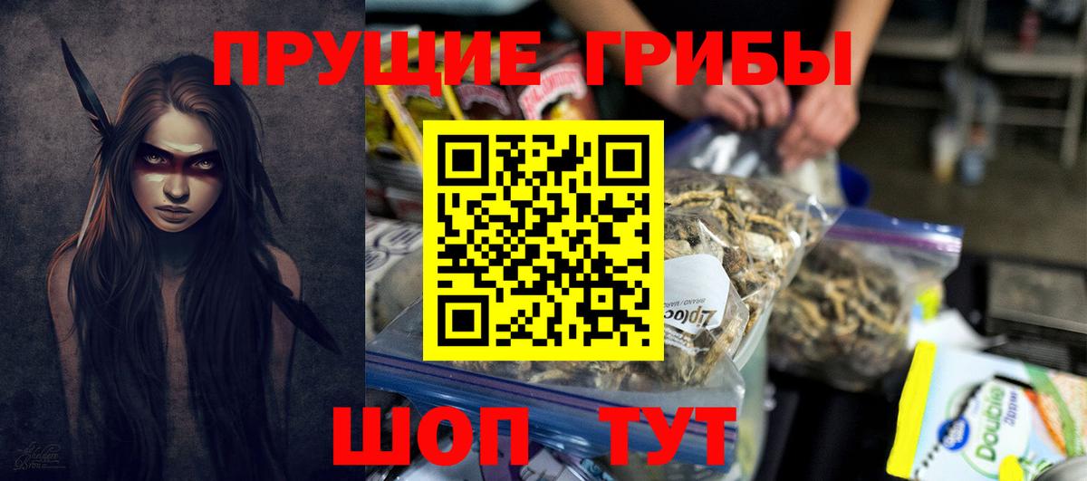 Псилоцибиновые грибы Psilocybe  Псилоцибиновые грибы Psilocybine cubensis  Вход с VPN  Елец 